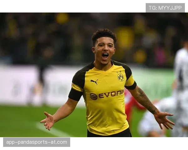 桑乔与理查利森策动性转移呈现体系分配趋势