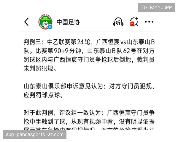 比赛申诉规则详细解析及裁判判罚复核流程说明