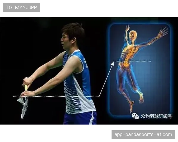 全面解析篮球比赛中发球违例判定的规则依据与执行标准