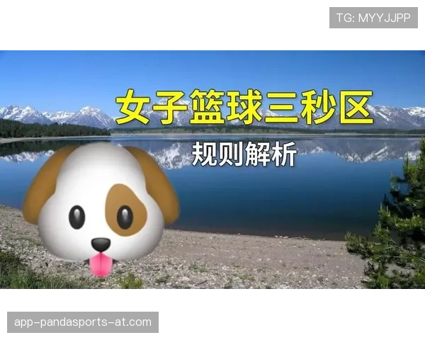 篮球三秒规则国际差异解析：不同体系下的判定标准